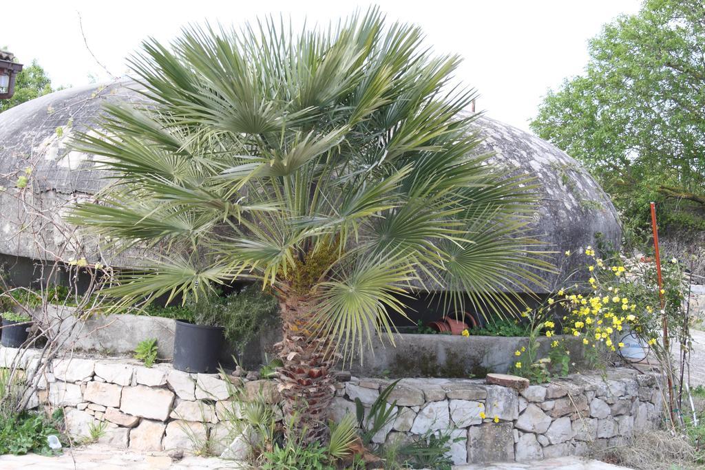 Villa La Scaletta Alghero Szoba fotó