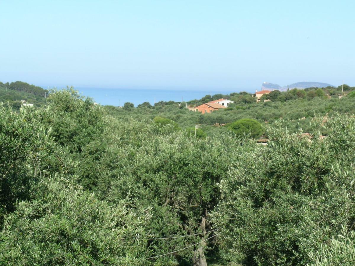 Villa La Scaletta Alghero Kültér fotó